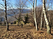 Alla Madonnina del Costone (1195 m) da Zogno (315 m) su sentieri sopra casa (26dic閳??20)  - FOTOGALLERY
